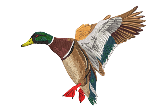 Majestic Flying Mallard Duck Review